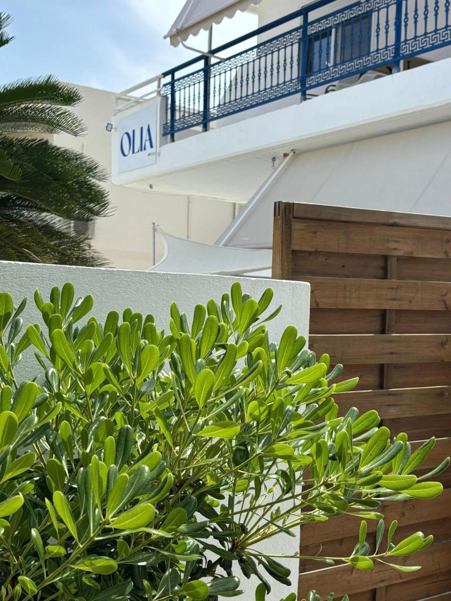 Olia Studios Olga Studios Фалираки Екстериор снимка